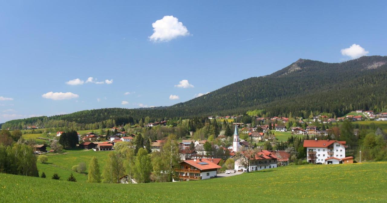 Garnihotel Zur Linde - Bayerischer Wald - Aktivcard Mit 154 Kostenfreien Leistungen - Kostenloser Parkplatz Lohberg Exterior photo