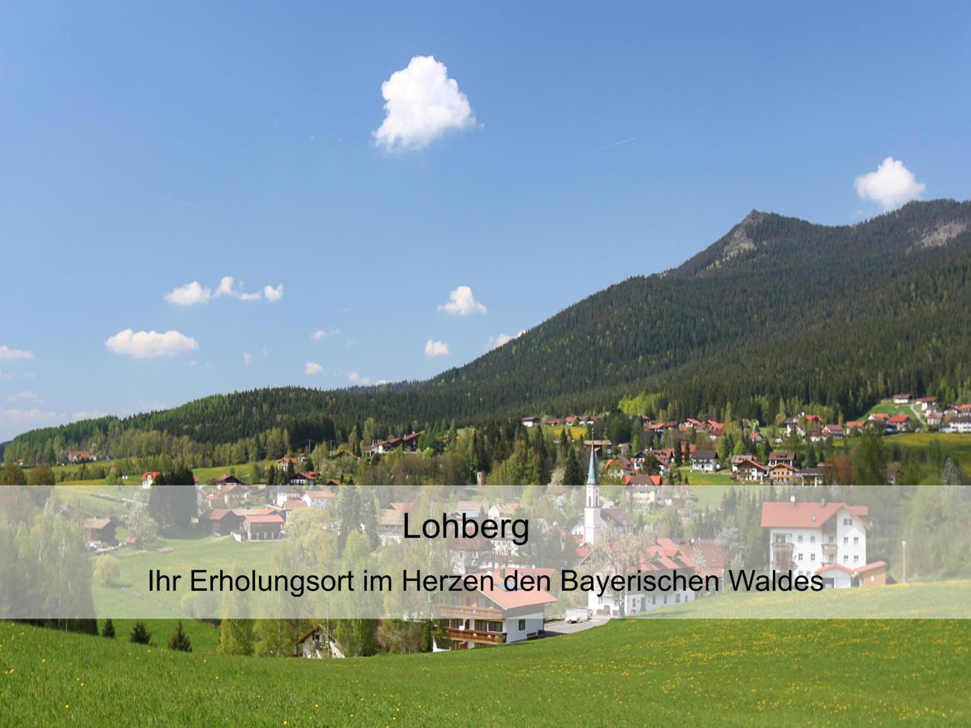 Garnihotel Zur Linde - Bayerischer Wald - Aktivcard Mit 154 Kostenfreien Leistungen - Kostenloser Parkplatz Lohberg Exterior photo